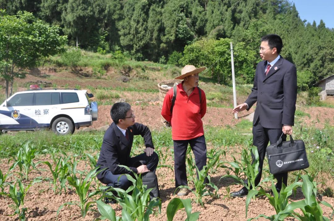 【检护民生】梁平：检察建议督促拆除耕地上的违法建筑，守好 “巴蜀粮仓”